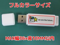 画像1: サンワサプライUSBメモリー　USB3.0対応（フルカラー印刷）