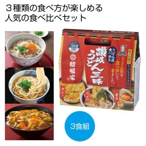 画像1: 招福家 うどん県食べ歩き 讃岐うどん三昧３食組 (1)